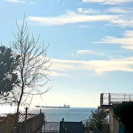 Leo * Terracina
