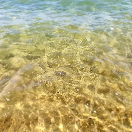 Leo * Terracina